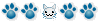 Cat sponsor Cat sponsor