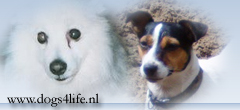 Dogs4life hondenforum Forumindex Dogs4life hondenforum Forumindex